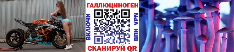 Псилоцибиновые грибы прущие грибы  купить наркоту  mega рабочий сайт  Камышин 