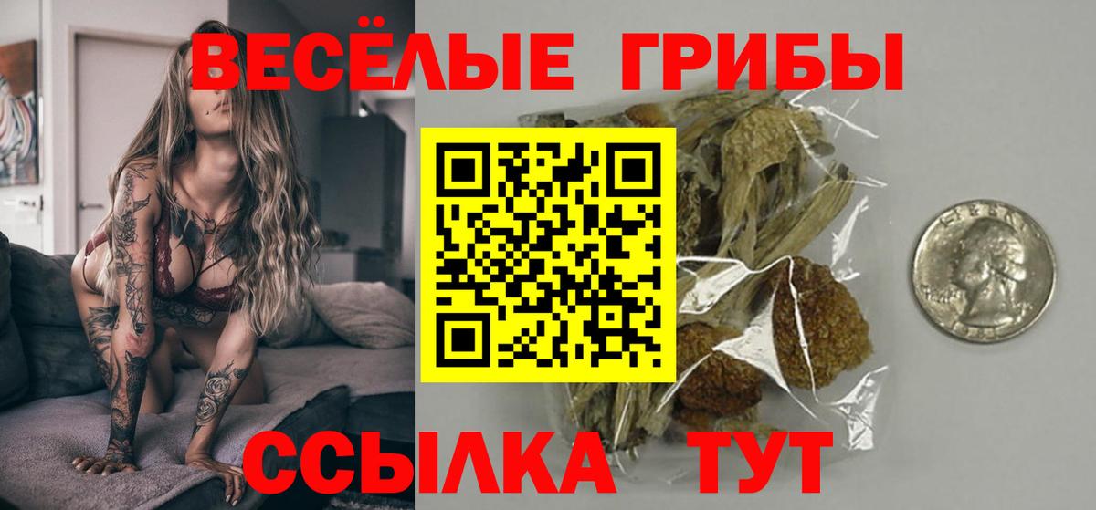 Галлюциногенные грибы Cubensis Камышин